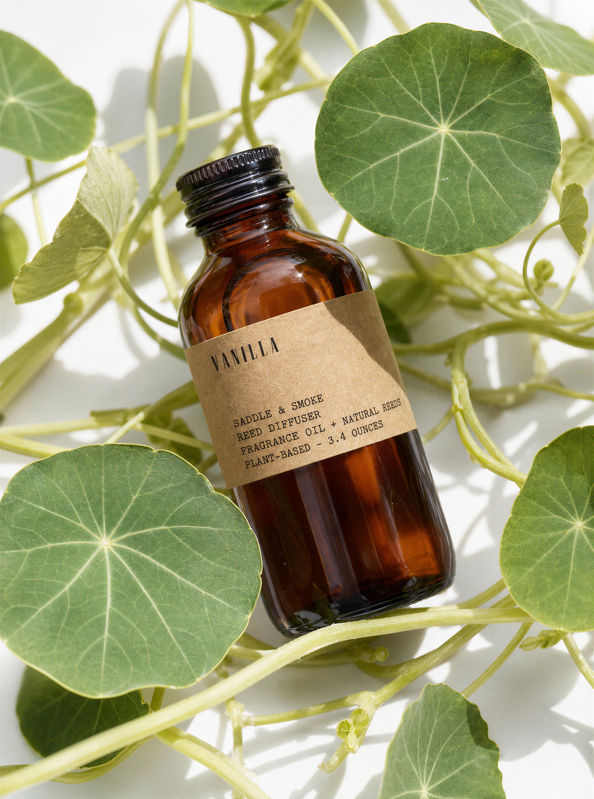 Salt Coast reed diffuser bottle with fresh foliage
