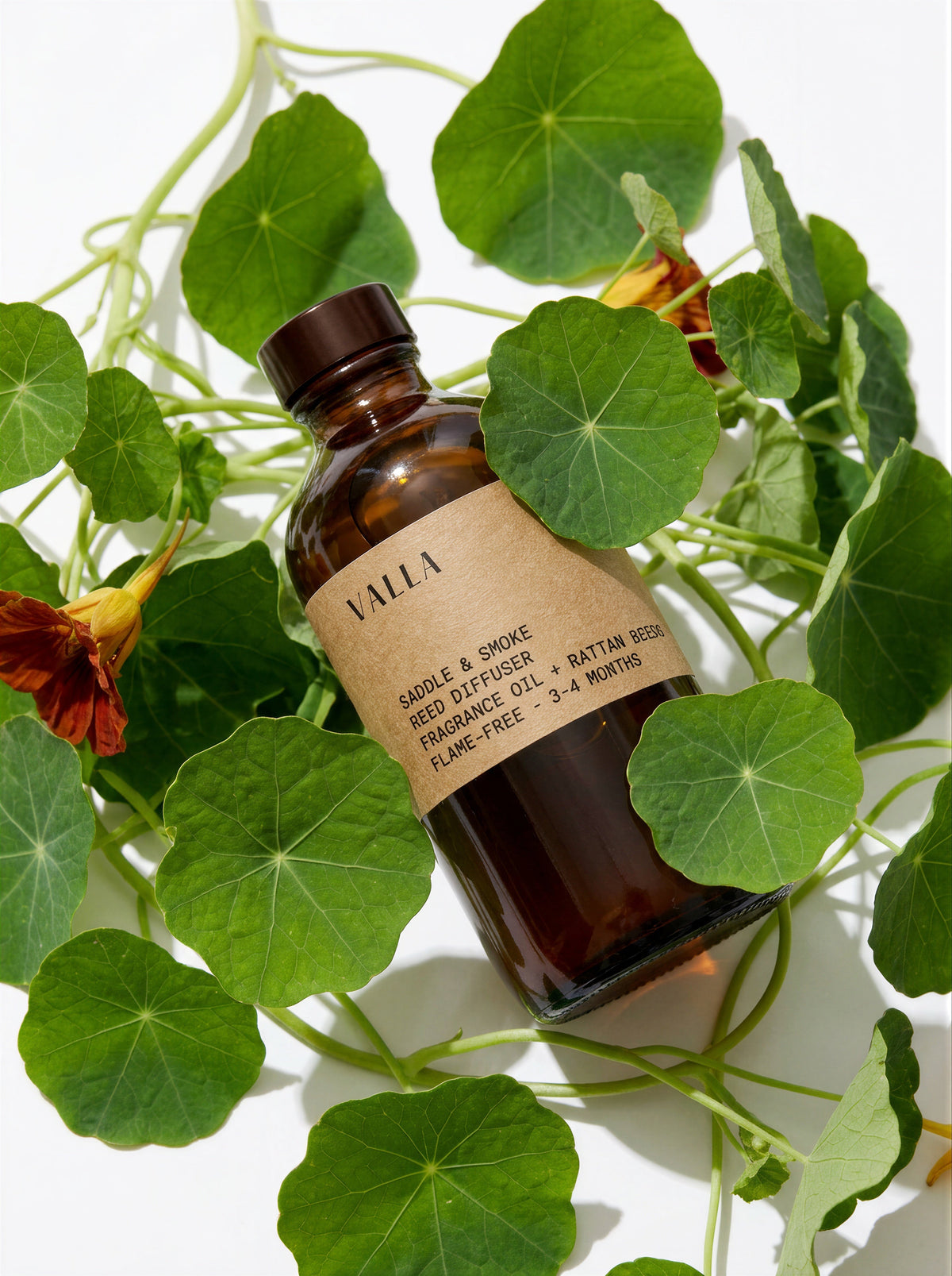 Saddle & Smoke reed diffuser bottle with fresh foliage